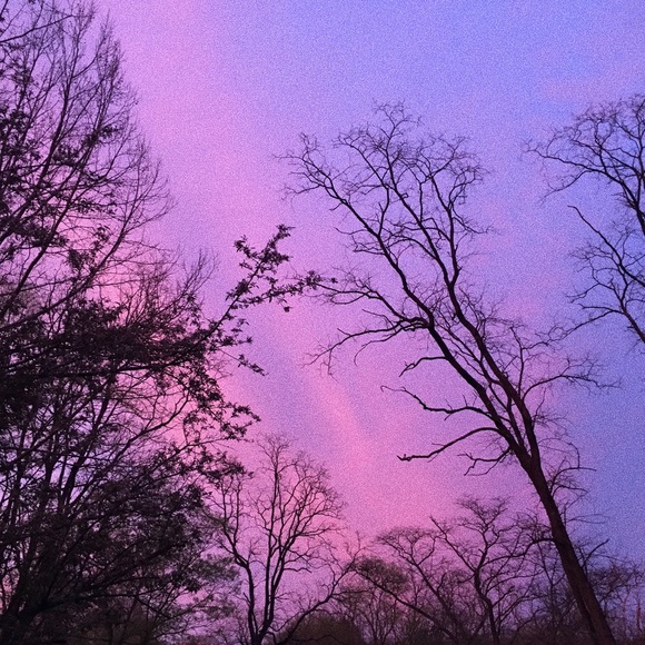 Meet your Posher, Grace - Picture 1 of 1